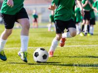 布伦特福德VS富勒姆预测比分天空体育预测本轮英超赛果：纽卡3