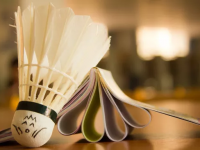 热刺VS布莱顿直播入口昨日小波动，今天力争拿捏！先看英超：布莱顿vs热刺！